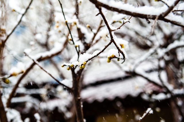 和防守端都