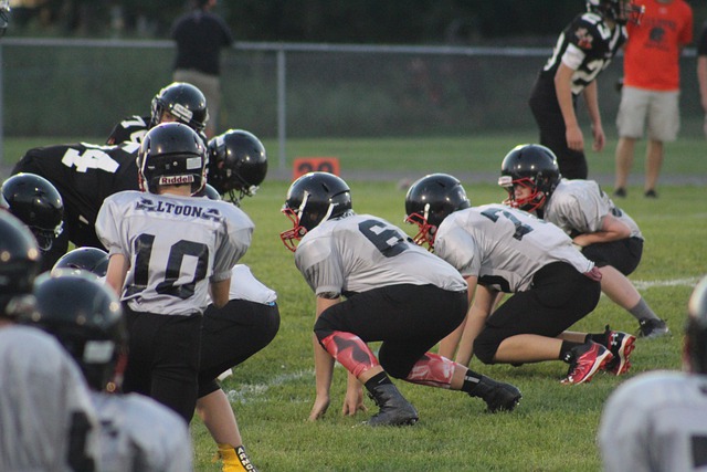 往績與未來 往績與未來