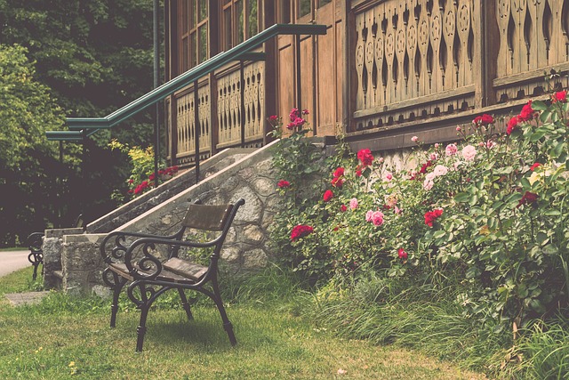 度使球队陷 度使球队陷