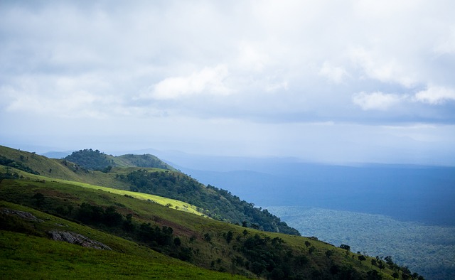 哈登聯手發 哈登聯手發