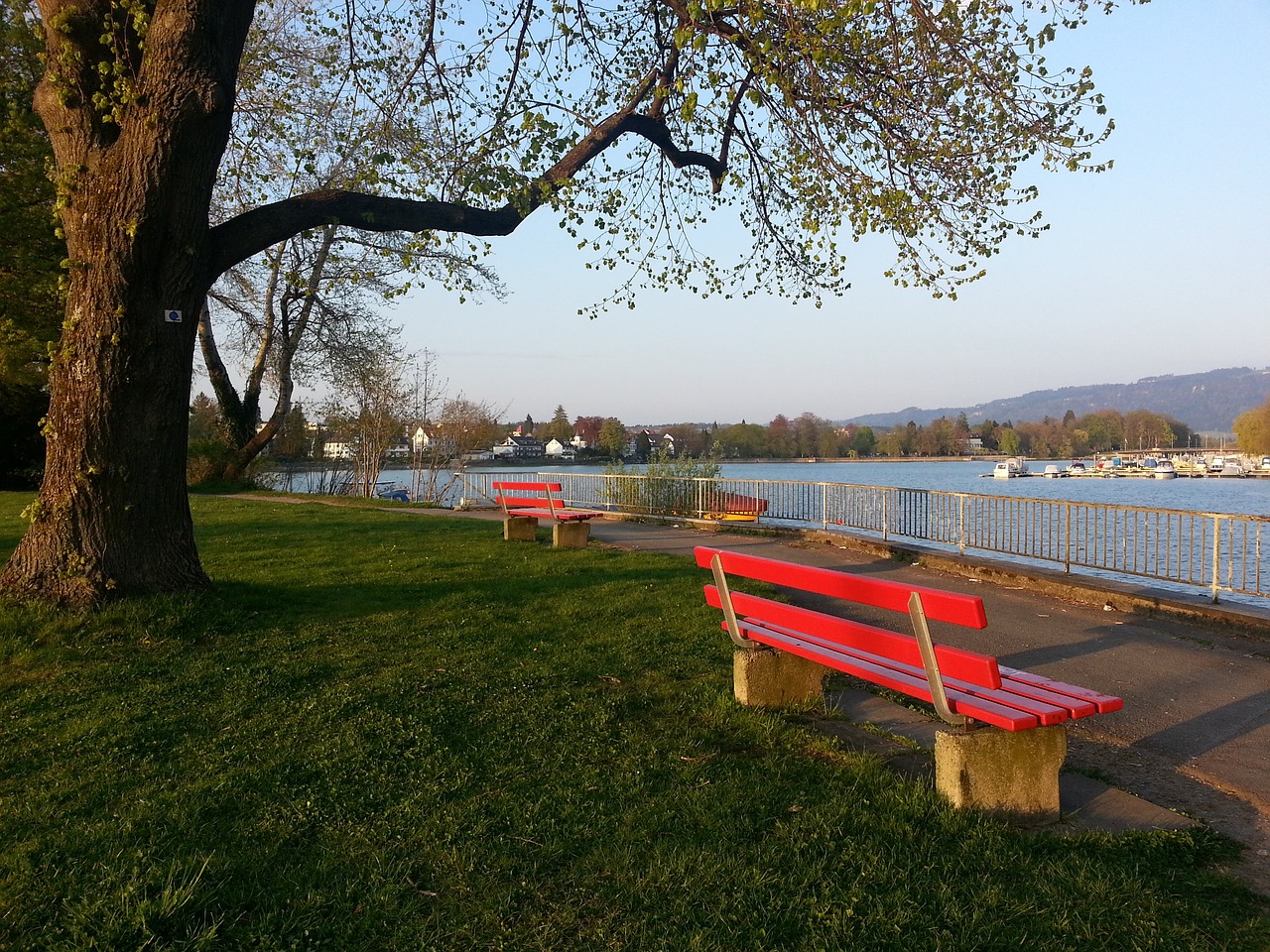 的深刻理解 的深刻理解