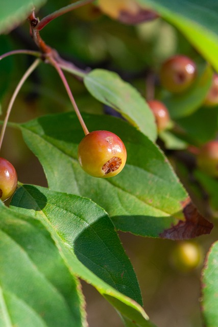 而在于被哈 而在于被哈