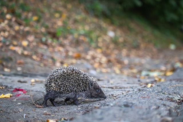 走得更远 走得更远